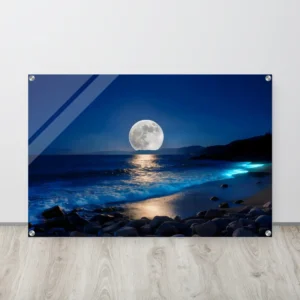 Moonlit Blue Seascape Acrylic Wall Art Premium Decor