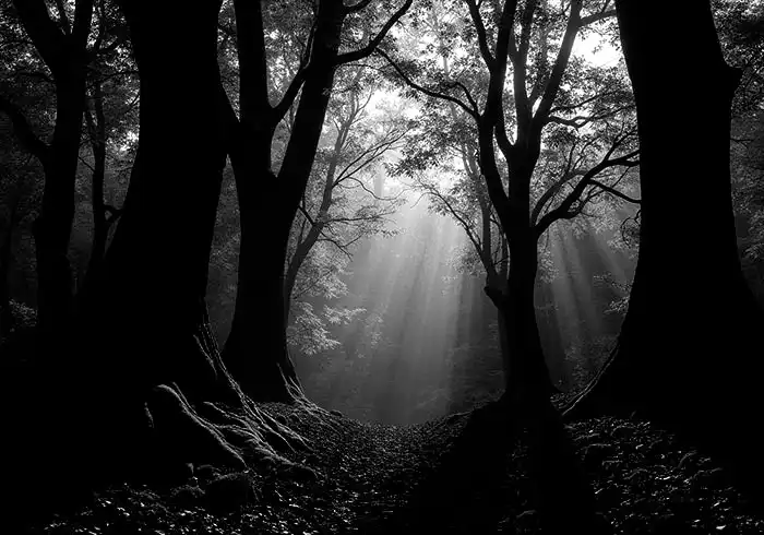 Dreamlike Imagery