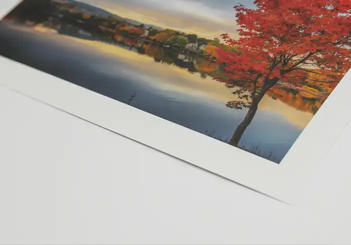Giclee Paper Prints