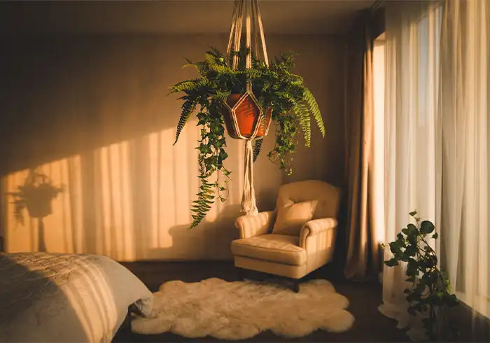 Natural Ceiling Hanging Art