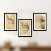 3 Set Abstract Botanical-Haired Woman Art Prints Digital Download