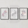 3 Set Blooming Beauty Line Art Prints-Modern Feminine Wall Decor Downloadable Hi-res