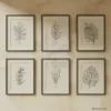 6 set minimalist botanical line art prints digital download