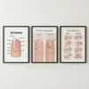 nail anatomy educational wall art print set for salon decor