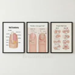 nail anatomy educational wall art print set for salon decor
