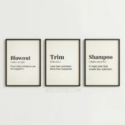 Blow Out,Trim and shampoo hair dictionary wall print