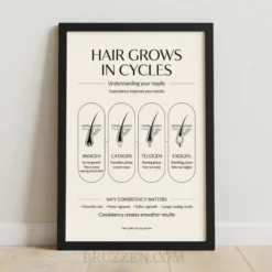 hair growth cycle educational framed poster showing four follicle stages on cream background