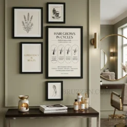 hair growth cycle poster styled in curated studio gallery wall alongside beauty definition prints
