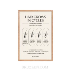 close-up of hair growth cycle poster showing follicle diagram detail and ayous wood frame
