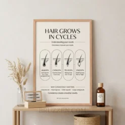 hair cycle educational framed poster displayed in clean minimal beauty salon reception area