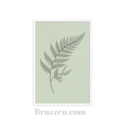 Close-up of fern scissors botanical poster showing thin linework and black Ayous wood frame